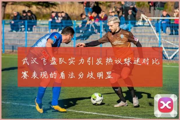 武汉飞盘队实力引发热议球迷对比赛表现的看法分歧明显