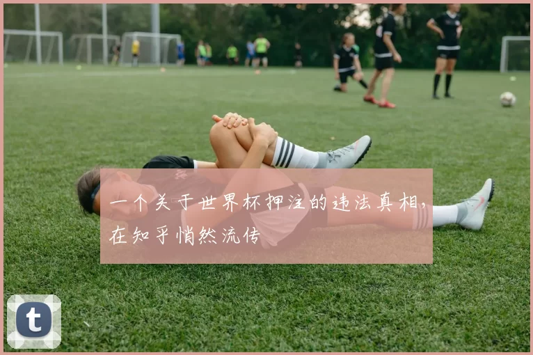 一个关于世界杯押注的违法真相,在知乎悄然流传