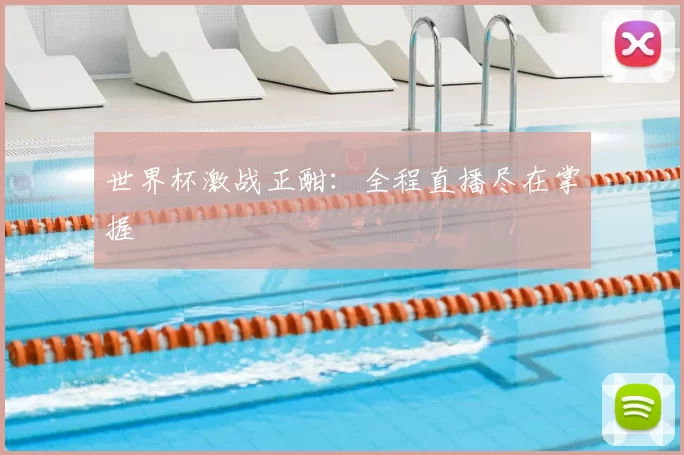 世界杯激战正酣:全程直播尽在掌握
