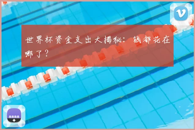 世界杯资金支出大揭秘：钱都花在哪了？