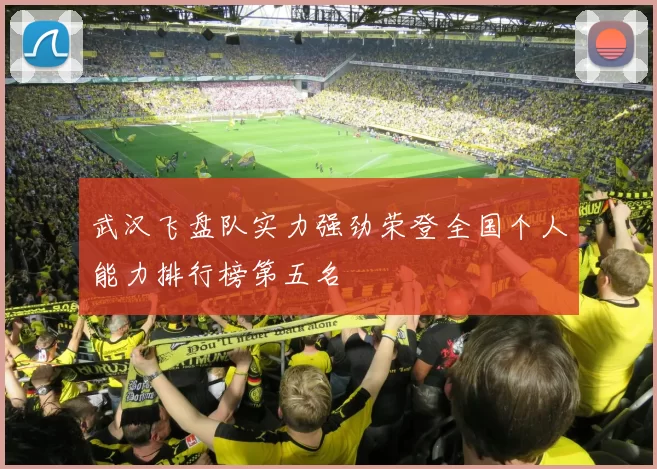 武汉飞盘队实力强劲荣登全国个人能力排行榜第五名