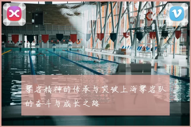 攀岩精神的传承与突破上海攀岩队的奋斗与成长之路