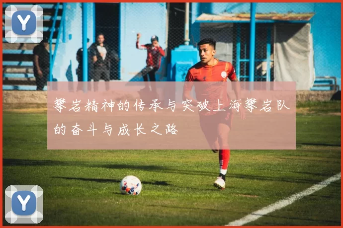 攀岩精神的传承与突破上海攀岩队的奋斗与成长之路