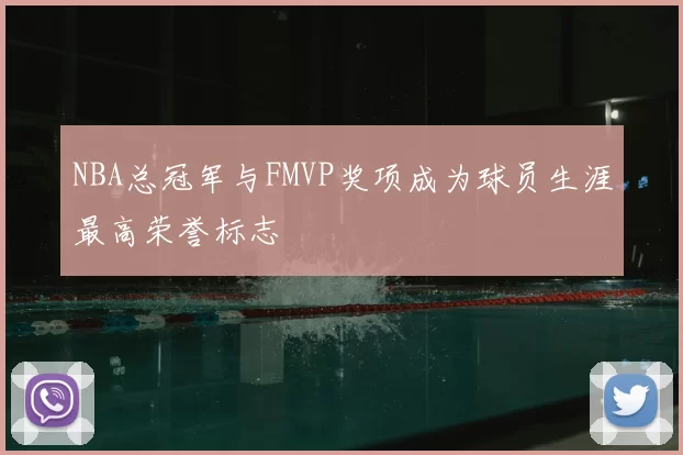 NBA总冠军与FMVP奖项成为球员生涯最高荣誉标志