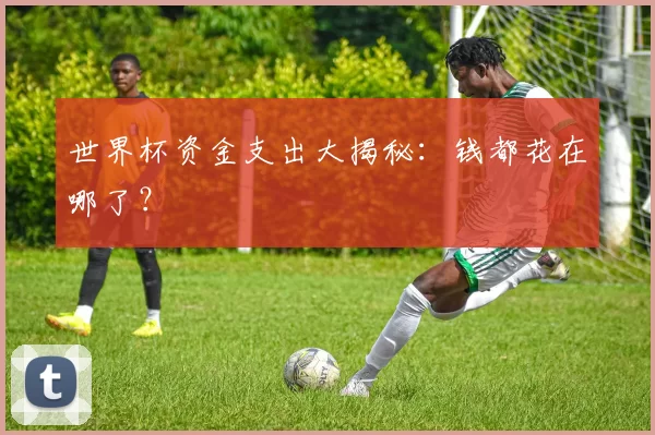 世界杯资金支出大揭秘:钱都花在哪了?