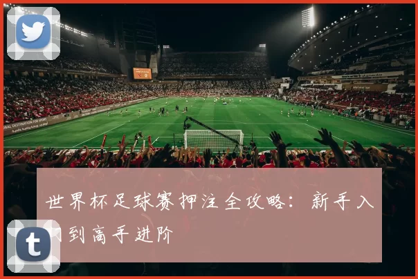 世界杯足球赛押注全攻略：新手入门到高手进阶