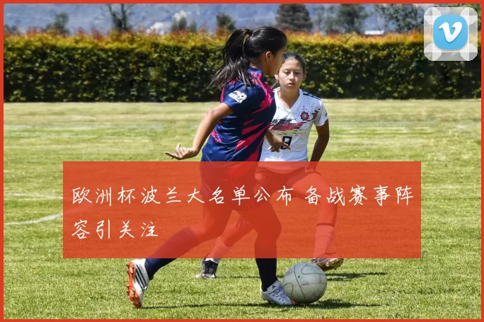 欧洲杯波兰大名单公布 备战赛事阵容引关注