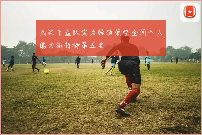 武汉飞盘队实力强劲荣登全国个人能力排行榜第五名