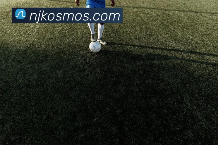 华体会服务体系